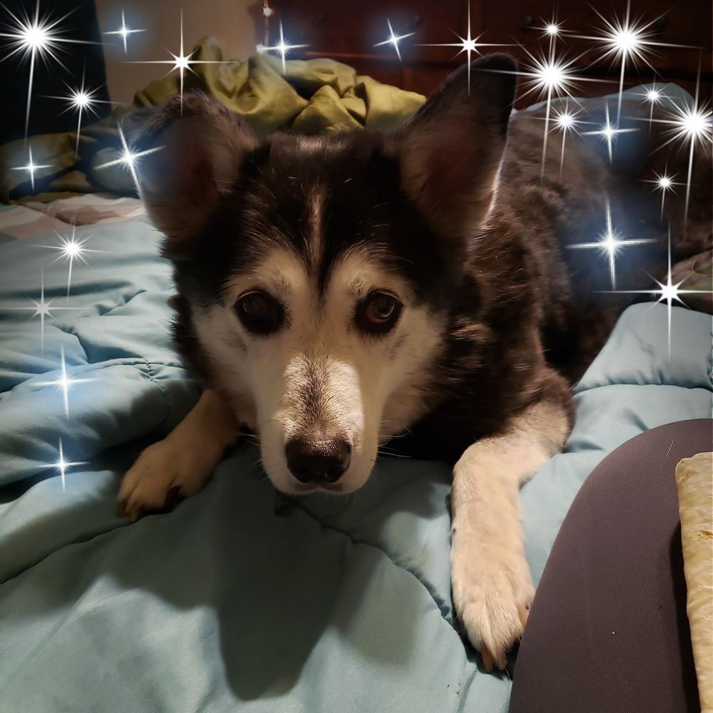 Meet your Posher, Marcy